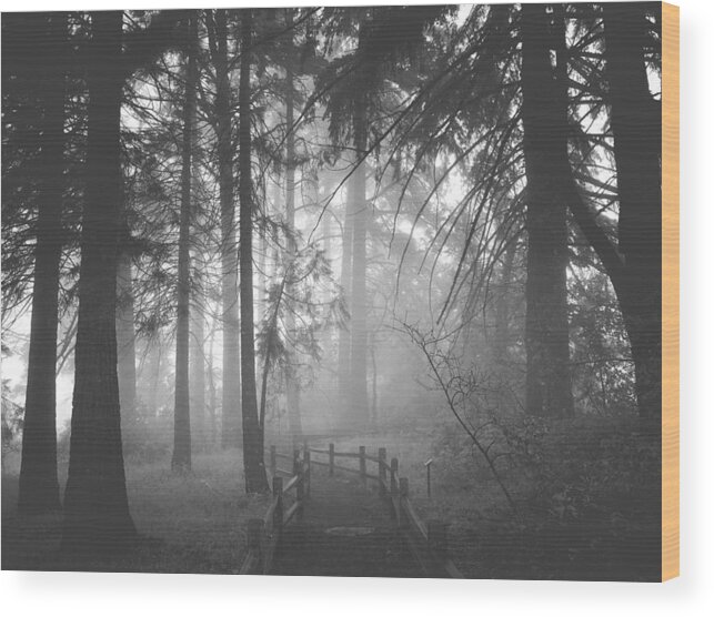 Mist Wood Print featuring the digital art Misty Path by Kevyn Bashore