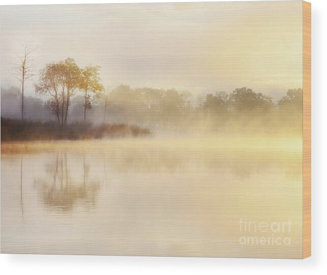 Loch Ard Wood Print featuring the photograph Misty Sunrise Loch Ard by Janet Burdon