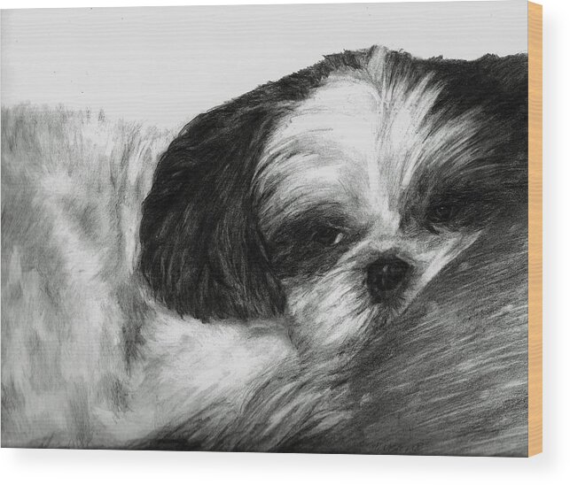 Dog Wood Print featuring the drawing Mr Tibbs by Meagan Visser