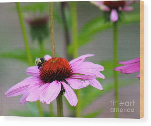 Pink Wood Print featuring the photograph Nature's Beauty 90 by Deena Withycombe
