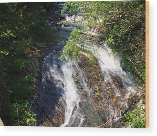 Waterfall Wood Print featuring the photograph Observation by Richie Parks