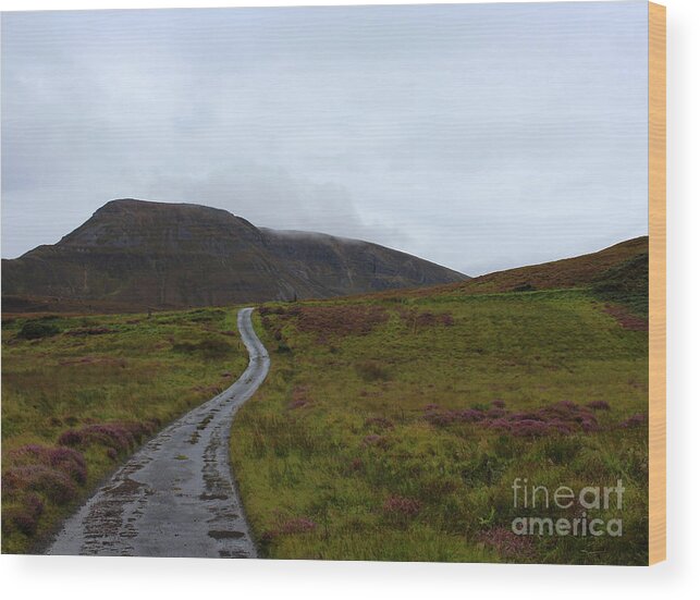 Wild Atlantic Way Wood Print featuring the photograph On Track by Eddie Barron