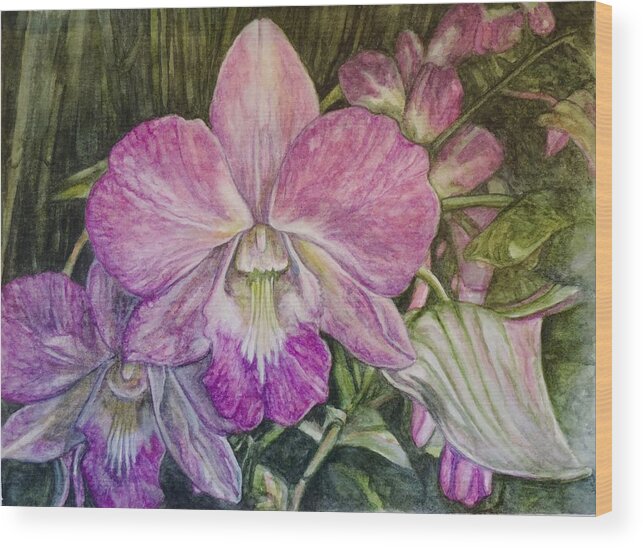 Watercolor Wood Print featuring the painting Orchid Phalaenopsis by Jodi Higgins
