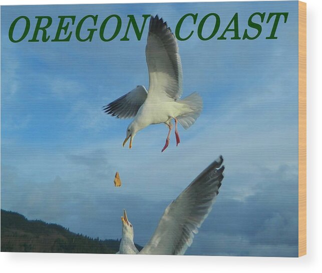 Gulls Wood Print featuring the photograph Oregon Coast Amazing Seagulls by Gallery Of Hope 