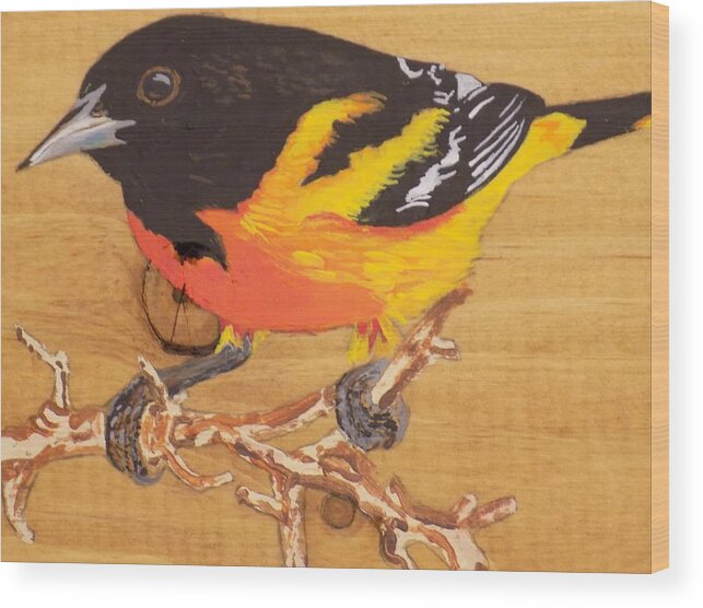 Baltimore Oriole Wood Print featuring the painting Oriole 4 by Paul Bashore