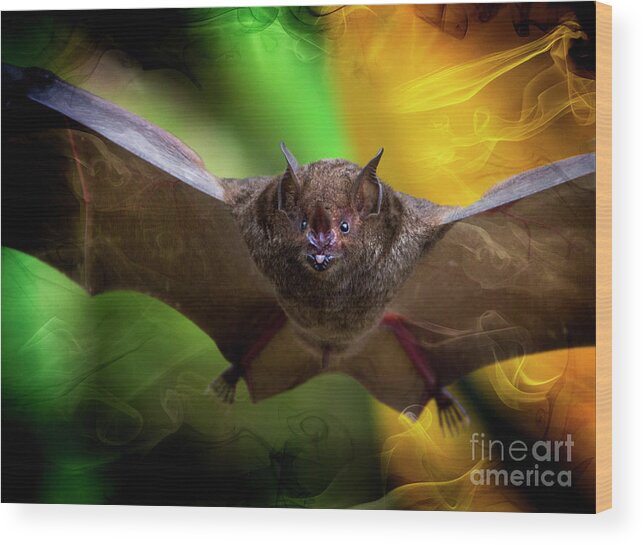 Pale Wood Print featuring the photograph Pale Spear-Nosed Bat In The Amazon Jungle by Al Bourassa