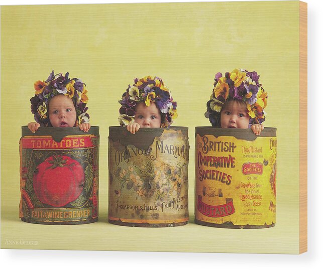 Pansy Wood Print featuring the photograph Pansy Tins by Anne Geddes