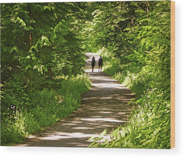 Nature Wood Print featuring the photograph Path to Paradise by Cameron Wood