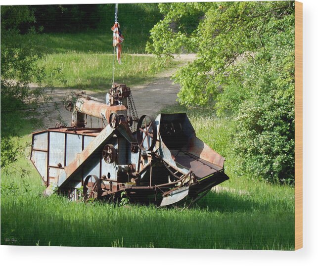 Trashing Machine Wood Print featuring the photograph Patriotic Rust by Wild Thing