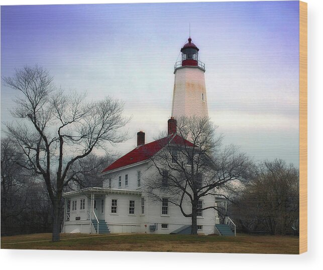Landscape Wood Print featuring the photograph Peaceful by Sami Martin