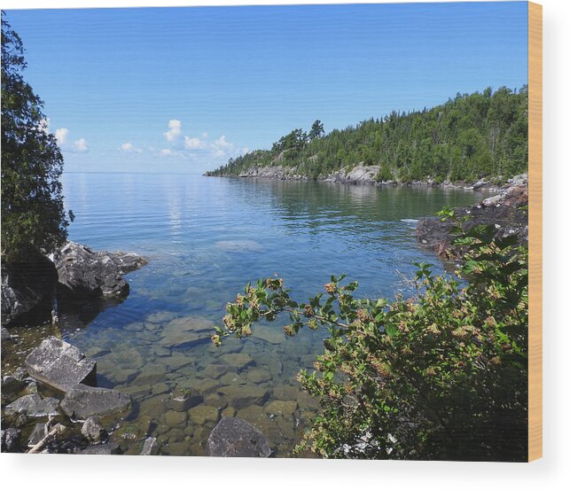Huron Islands National Wildlife Refuge Wood Print featuring the photograph Peaceful Tranquilty_ Surrounded By Danger by Janice Adomeit