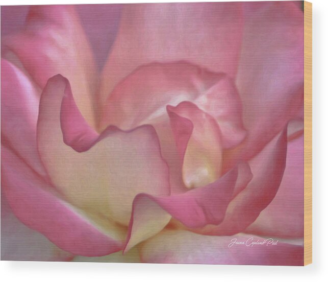 Pink Rose Petals Wood Print featuring the photograph Pink Rose Petals by Joann Copeland-Paul