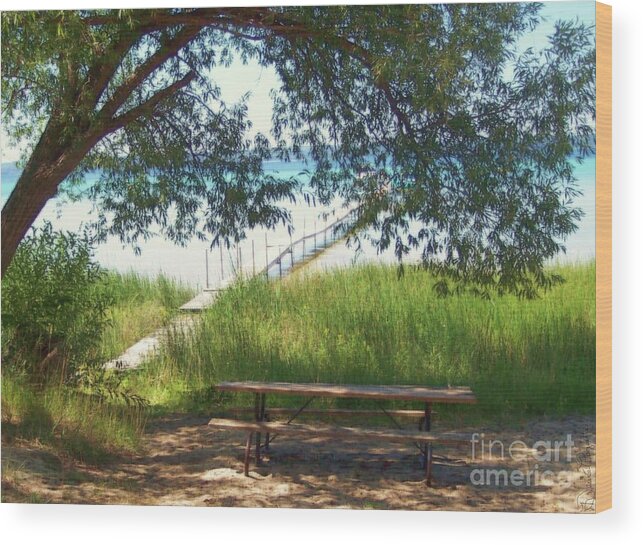 Northern Michigan Wood Print featuring the photograph Perfect Picnic Spot by Desiree Paquette