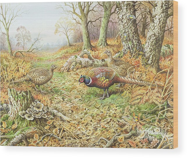 Pheasant Wood Print featuring the painting Pheasants with Blue Tits by Carl Donner