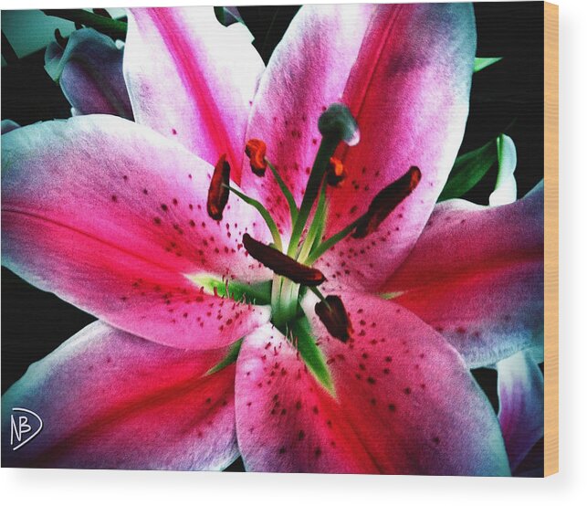 Pink Wood Print featuring the photograph Pink Passion by Nicole Dumond-Barry