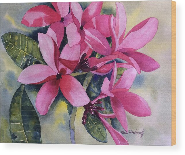 Plumeria Flowers Wood Print featuring the painting Pink Plumeria Flowers by Hilda Vandergriff