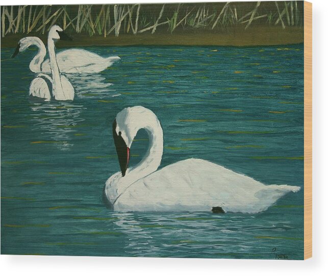 Swans Wood Print featuring the painting Preening Swans by Robert Tower