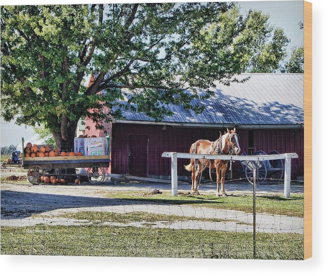 Amish Wood Print featuring the photograph Ready and Waiting by Cricket Hackmann