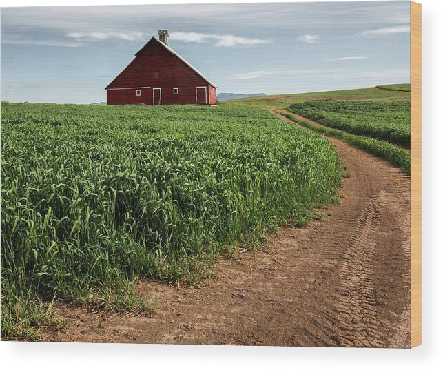 Barn Wood Print featuring the photograph Red Barn in Green Field by Bob Cournoyer