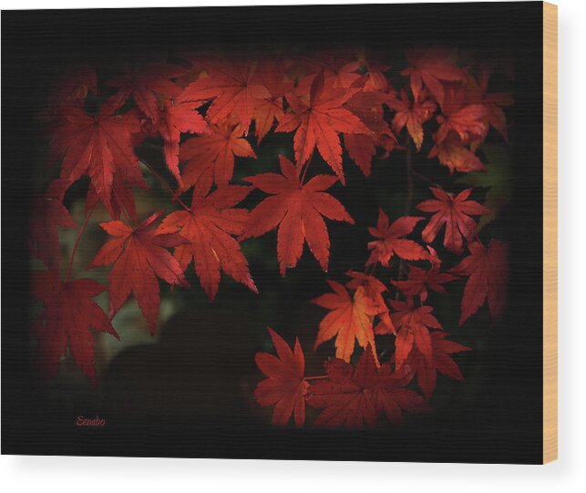 Red Wood Print featuring the photograph Red Momiji by Eena Bo