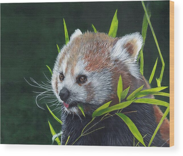 Red Panda Wood Print featuring the painting Red Panda by John Neeve