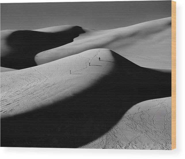 Landscape Wood Print featuring the photograph Sand Surfers by Rand Ningali
