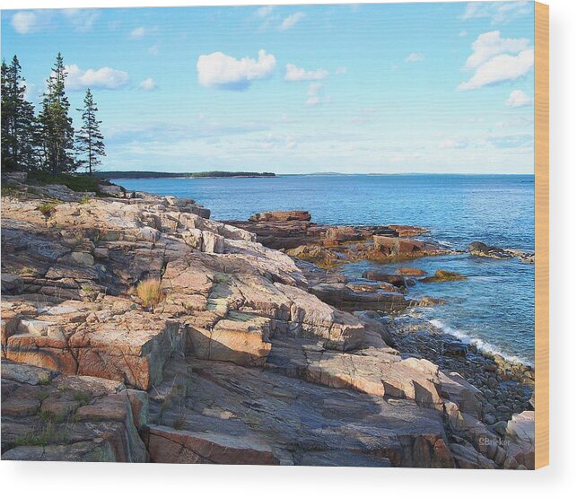 Seascape Wood Print featuring the photograph Schoodic Shoreline by Scott Bricker