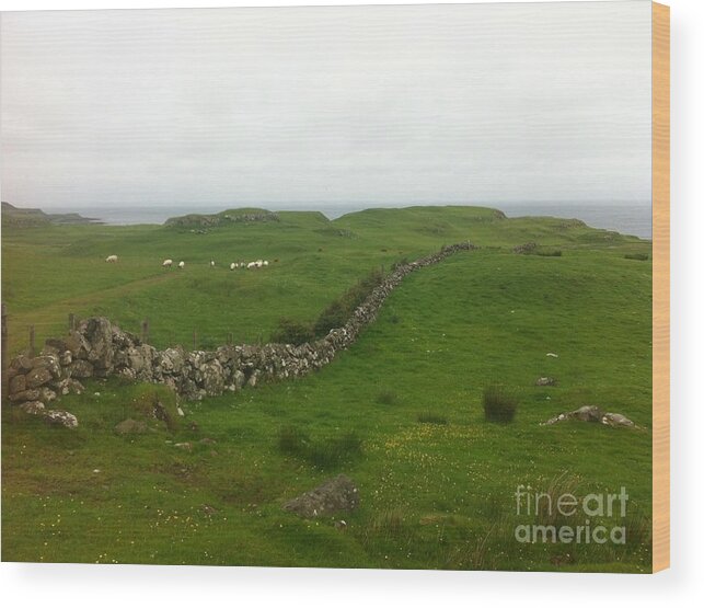 Scotland Wood Print featuring the photograph Scottish Wall by Kate Conaboy