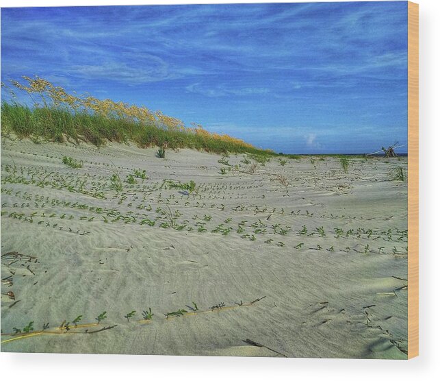 Beach Wood Print featuring the photograph Sea Swept by Sherry Kuhlkin