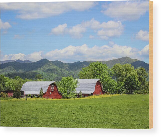 Barn Wood Print featuring the photograph Seeing Double by Lorraine Baum