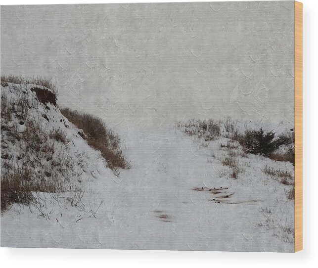 Snow Wood Print featuring the photograph Snow Blind by Annie Adkins