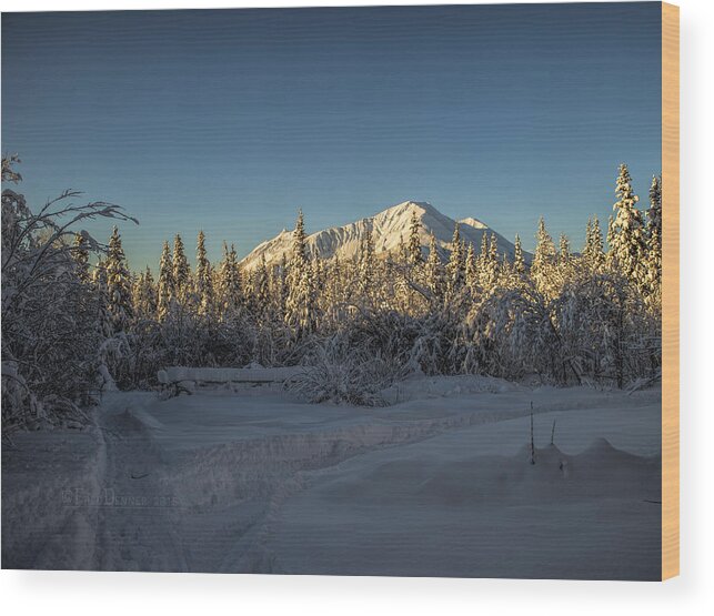 Snow Wood Print featuring the photograph Sourdough Peak by Fred Denner