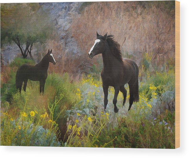 Black Horses Wood Print featuring the photograph Spring Play by Melinda Hughes-Berland