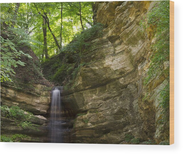 Waterfall Wood Print featuring the photograph St. Louis Canyon by Larry Bohlin