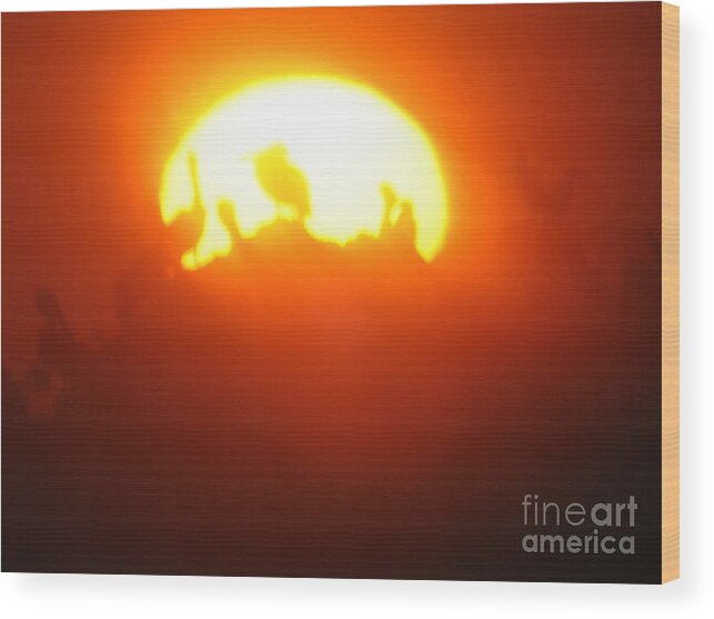 Sunset Wood Print featuring the photograph Sunset At Bird Rock by James B Toy