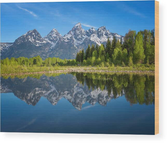 Grand Teton National Park Wood Print featuring the photograph Teton Reflection by Darren White