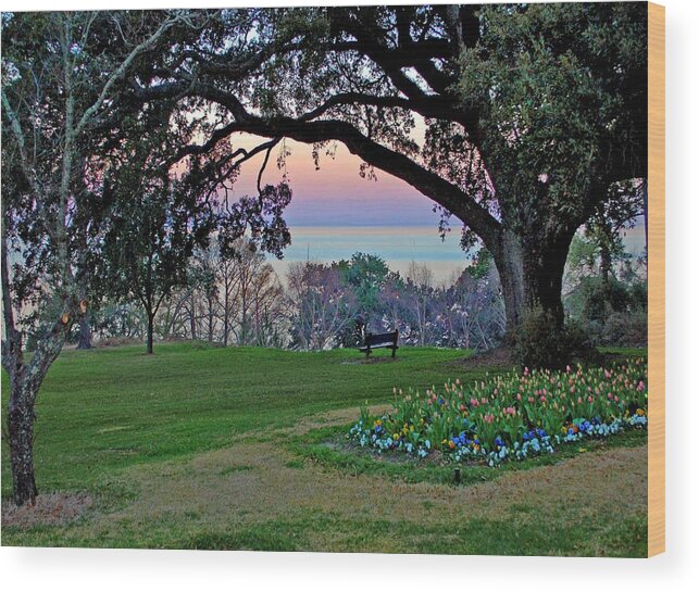 Fairhope Wood Print featuring the painting The Bay View Bench by Michael Thomas