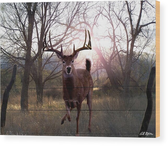 Whitetail Deer Wood Print featuring the digital art The Leap by Bill Stephens