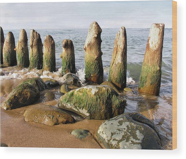 Pier Pilings Wood Print featuring the photograph The Old Dock Pilings by Kathi Mirto