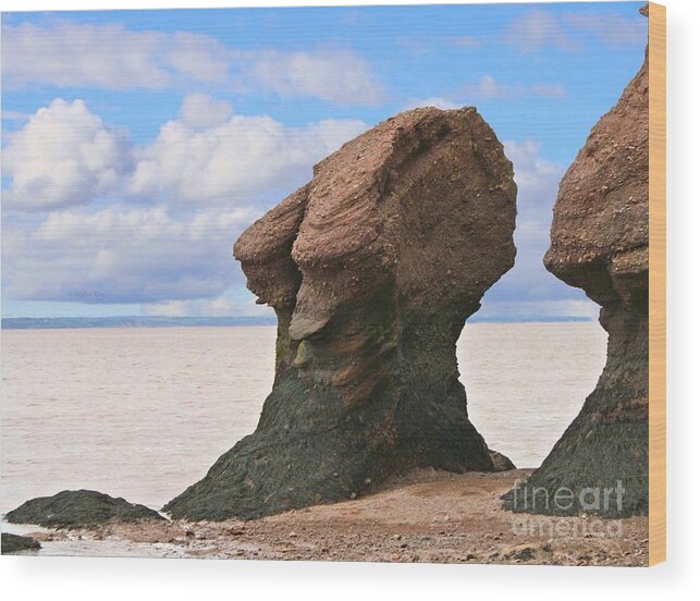 Rocks Wood Print featuring the photograph The old wise one by Heather King