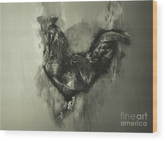 Animals Wood Print featuring the photograph The Rooster monochrome by Jack Torcello