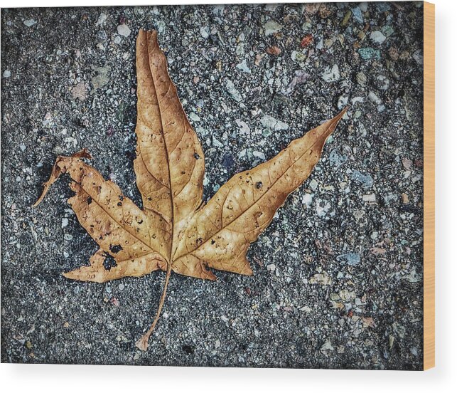 Leaves Wood Print featuring the photograph The Simplest Things by Elaine Malott