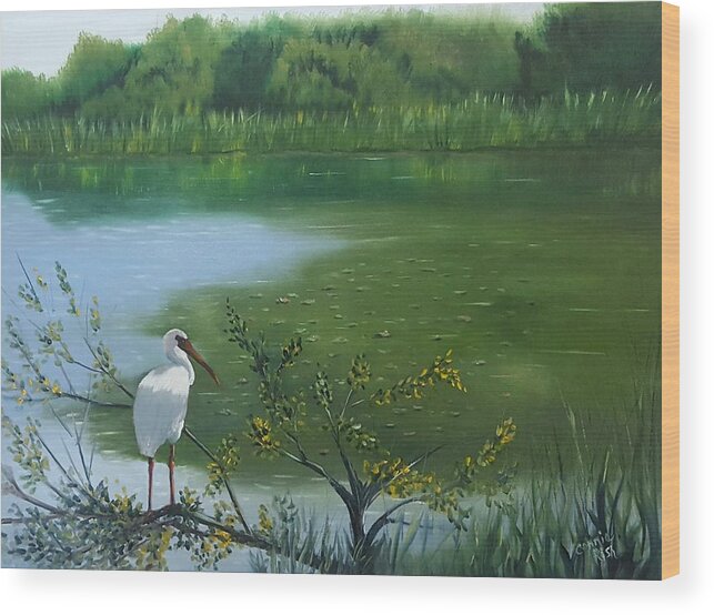Florida Wetlands Wood Print featuring the painting The Watchman by Connie Rish