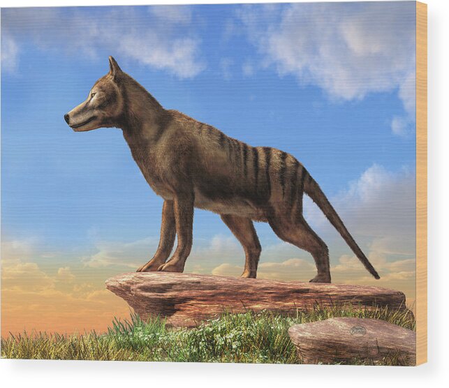 Thylacine Wood Print featuring the digital art Thylacine by Daniel Eskridge