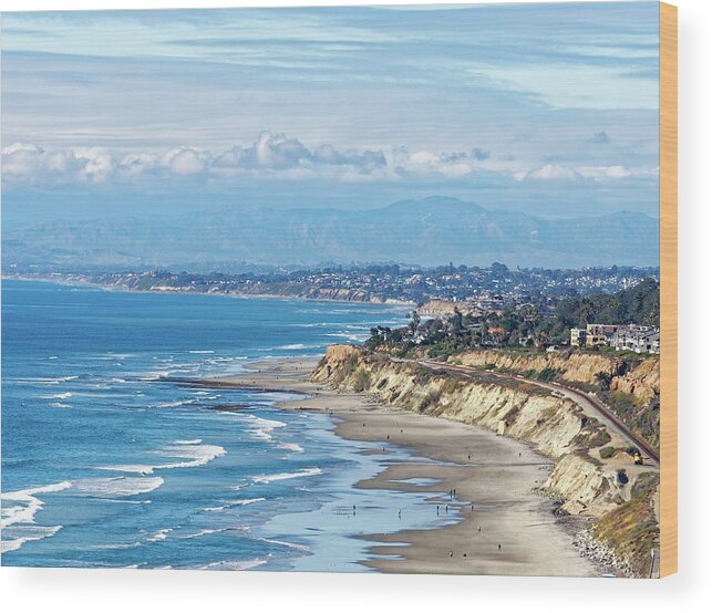 Landscape Wood Print featuring the photograph Torrey Pines by Peter Ponzio