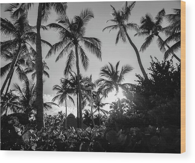 Palm Trees Wood Print featuring the photograph Tropical Paradise in B and W by George Kenhan