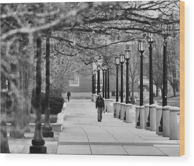 Purdue Wood Print featuring the photograph University Walk by Coby Cooper