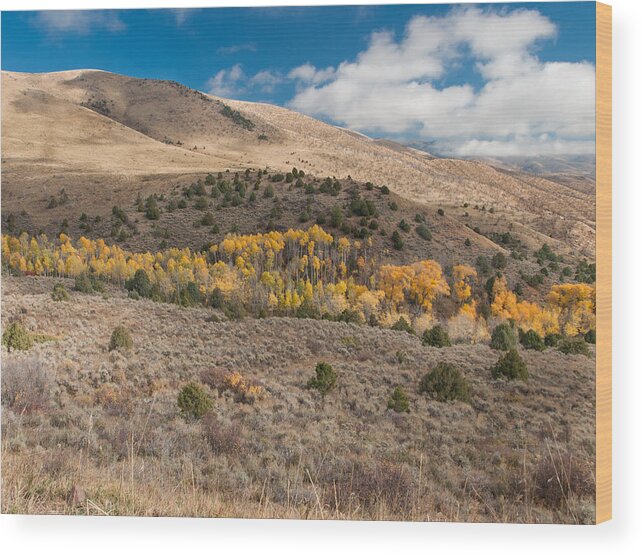 Utah Wood Print featuring the photograph Utah High Desert Autumn by Joshua House
