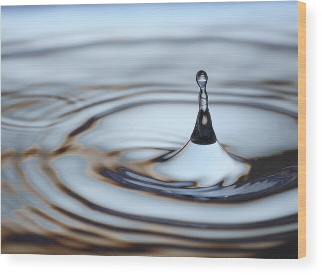 Frank Tschakert Wood Print featuring the photograph Water drop splash by Frank Tschakert