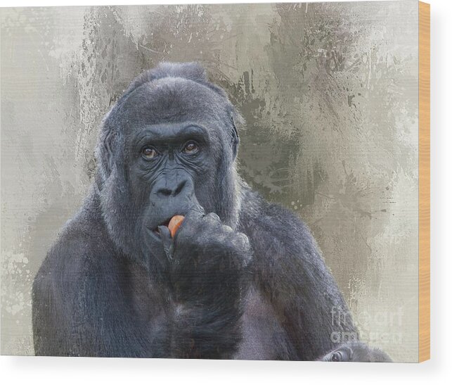 Western Lowland Gorilla Wood Print featuring the photograph Western Lowland Gorilla by Eva Lechner